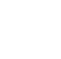 PIDT